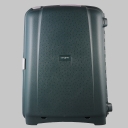 Samsonite,  , d18.014.064